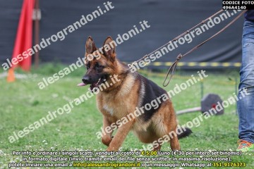 496A4140.jpg
