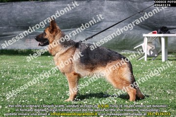 496A5174.jpg