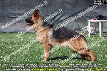 496A5176.jpg