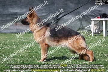 496A5178.jpg