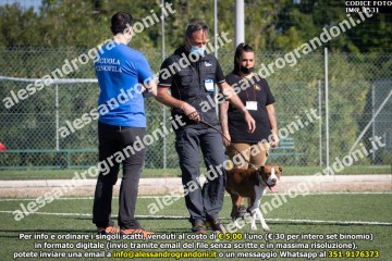 IMG_1531.jpg