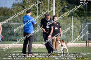 IMG_1532.jpg