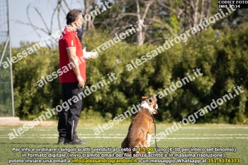 IMG_1534.jpg