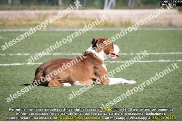 IMG_1535.jpg