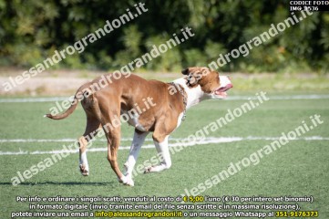 IMG_1536.jpg