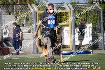 IMG_1544.jpg