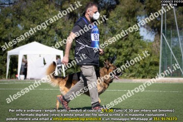 IMG_1548.jpg