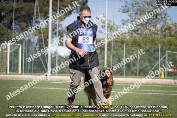 IMG_1549.jpg