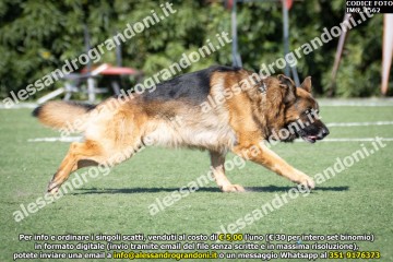 IMG_1562.jpg