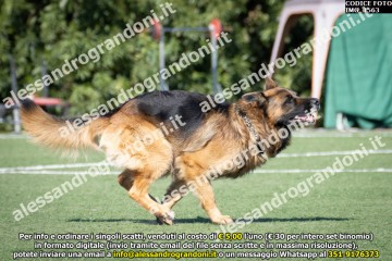 IMG_1563.jpg