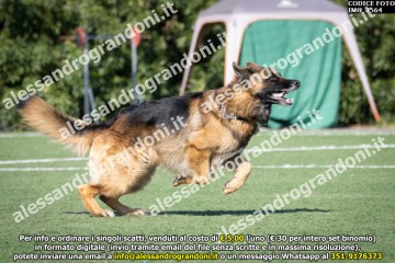 IMG_1564.jpg