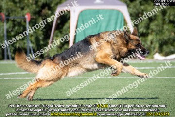 IMG_1565.jpg