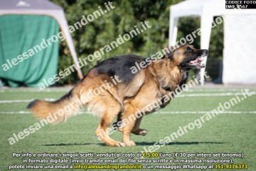 IMG_1567.jpg