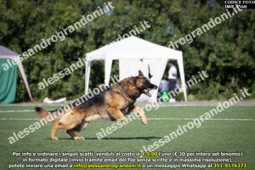 IMG_1568.jpg