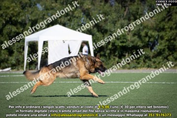 IMG_1569.jpg