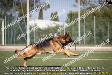 IMG_1570.jpg