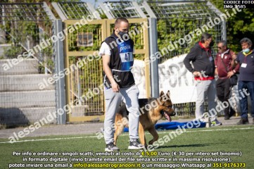 IMG_1585.jpg