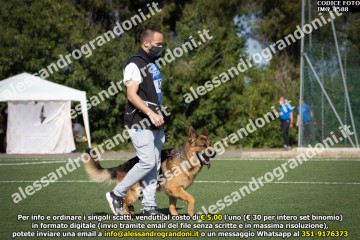 IMG_1588.jpg