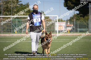 IMG_1591.jpg