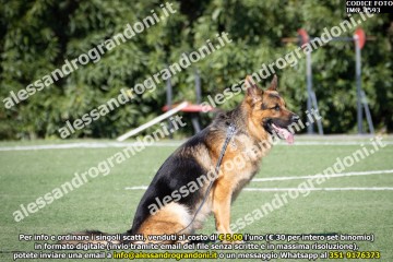IMG_1593.jpg