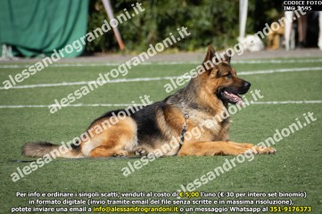 IMG_1595.jpg