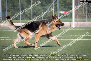 IMG_1601.jpg