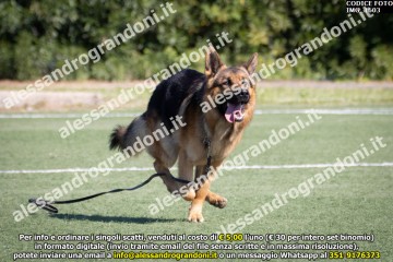 IMG_1603.jpg