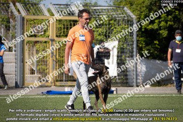 IMG_1610.jpg