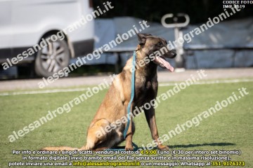 IMG_1619.jpg