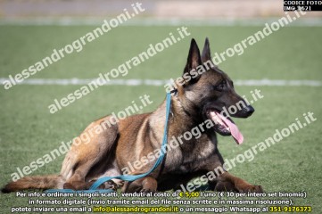 IMG_1621.jpg
