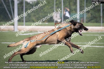 IMG_1627.jpg