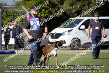 IMG_1633.jpg