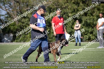 IMG_1635.jpg