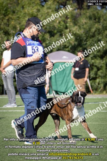 IMG_1636.jpg