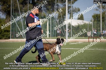 IMG_1637.jpg