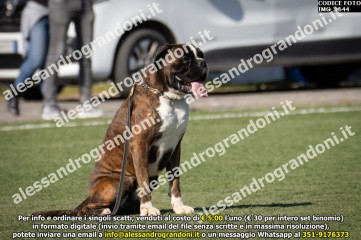 IMG_1644.jpg