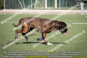 IMG_1647.jpg