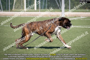 IMG_1649.jpg