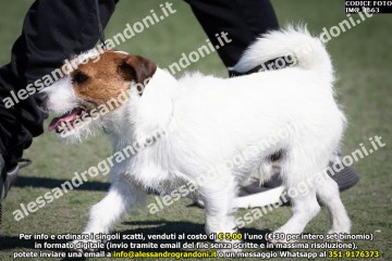 IMG_1663.jpg
