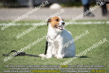 IMG_1667.jpg