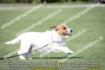 IMG_1669.jpg