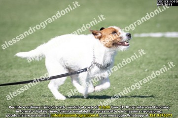 IMG_1671.jpg