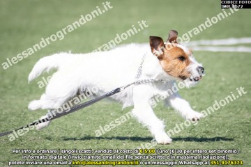 IMG_1672.jpg
