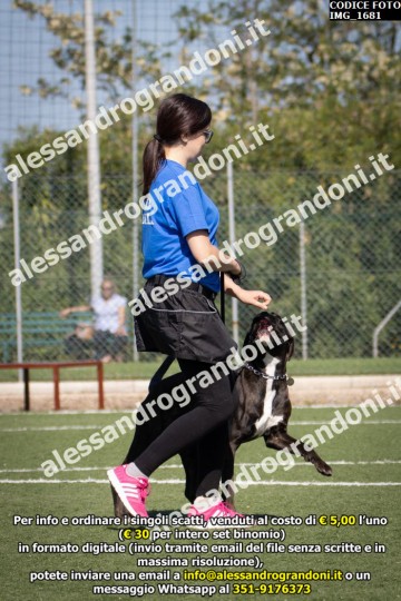 IMG_1681.jpg