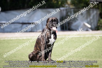 IMG_1686.jpg