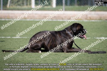 IMG_1690.jpg