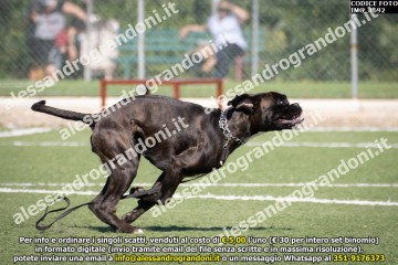 IMG_1692.jpg