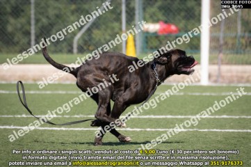 IMG_1695.jpg