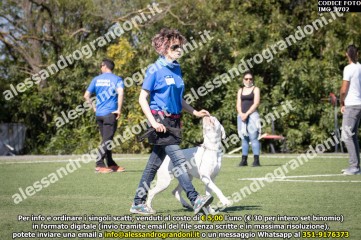IMG_1702.jpg
