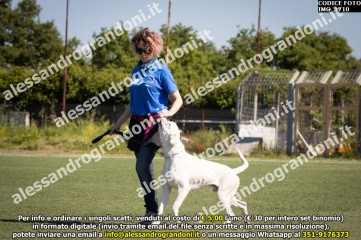 IMG_1710.jpg